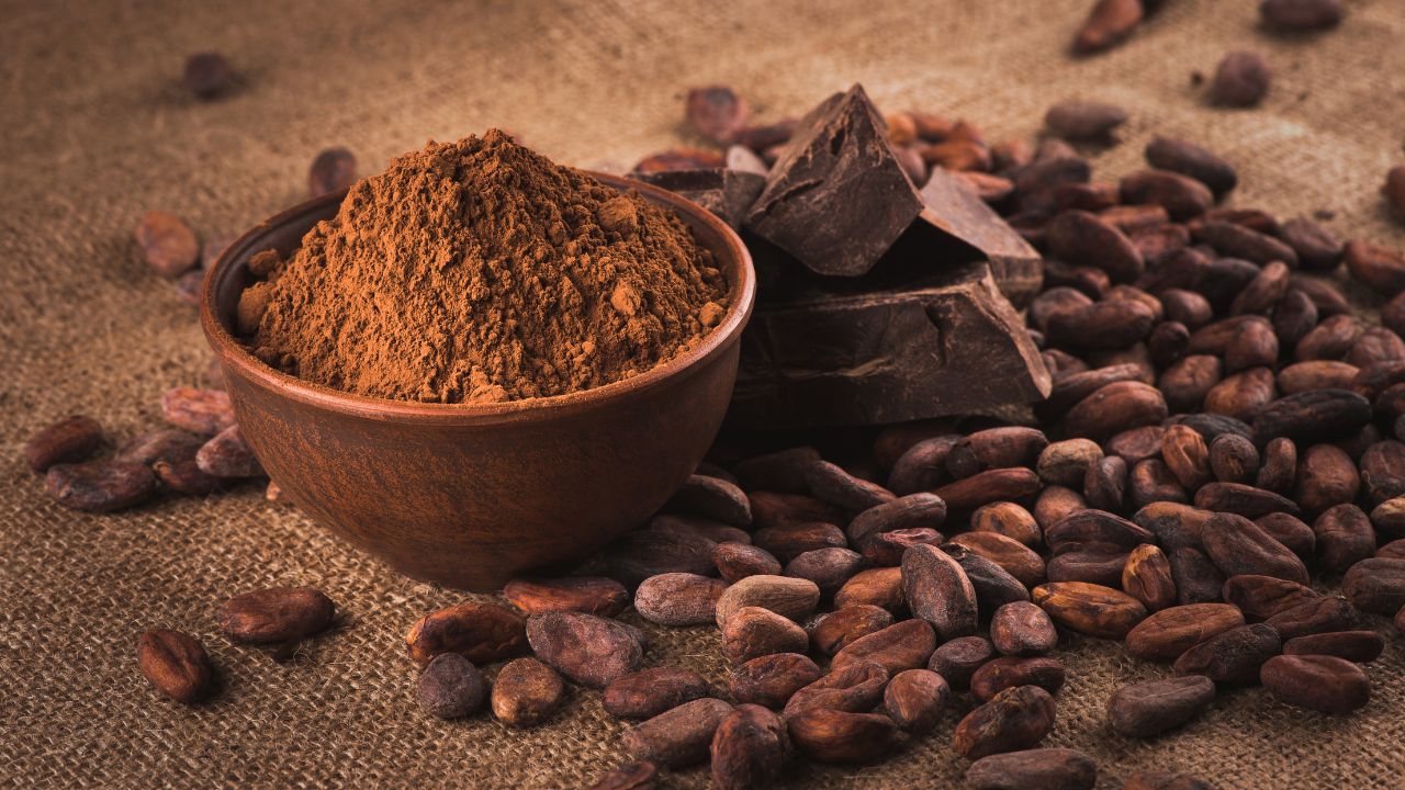 how cocoa chocolate grows