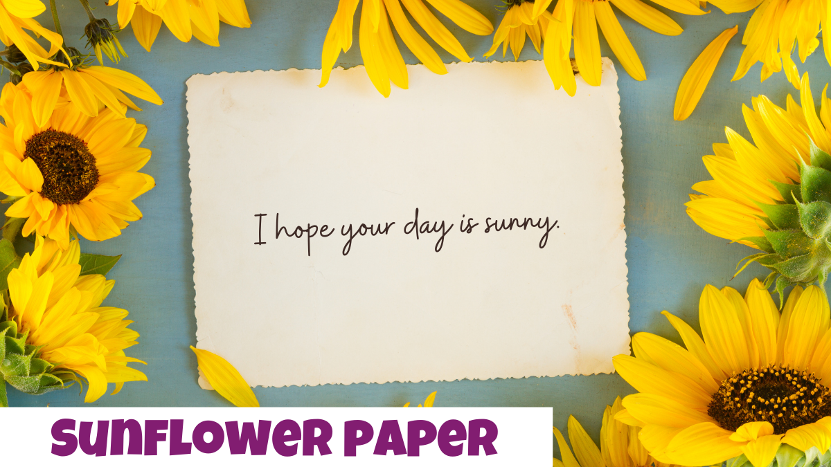 sunflower paper